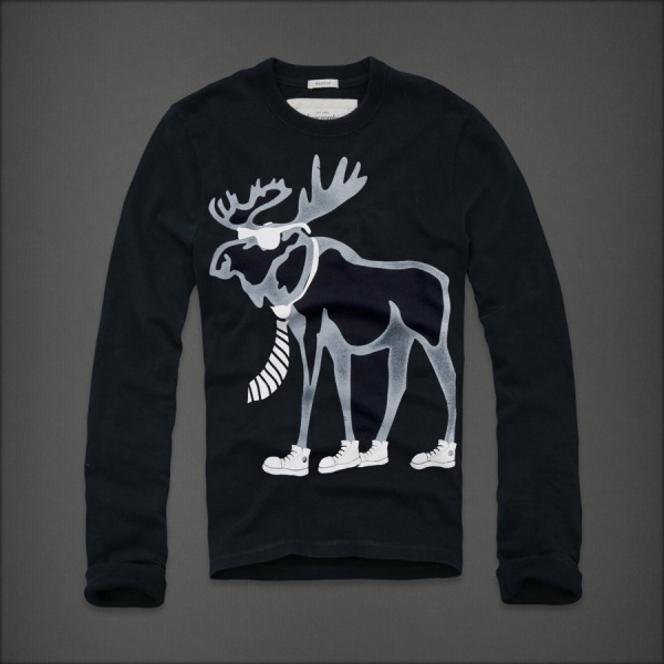 Abercrombie Fitch Hombres De Cuello Redondo Largo Remera AF5942